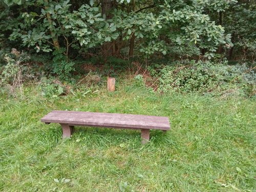 seat opposite planting site