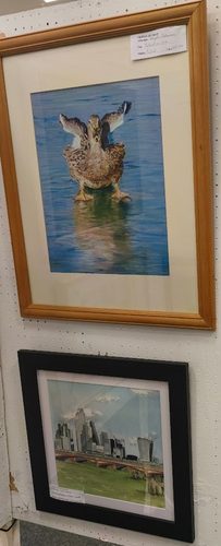 IMG_20251115_104559.