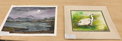 IMG_20251115_104730.