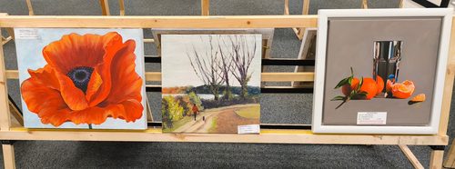 IMG_20251115_105243.